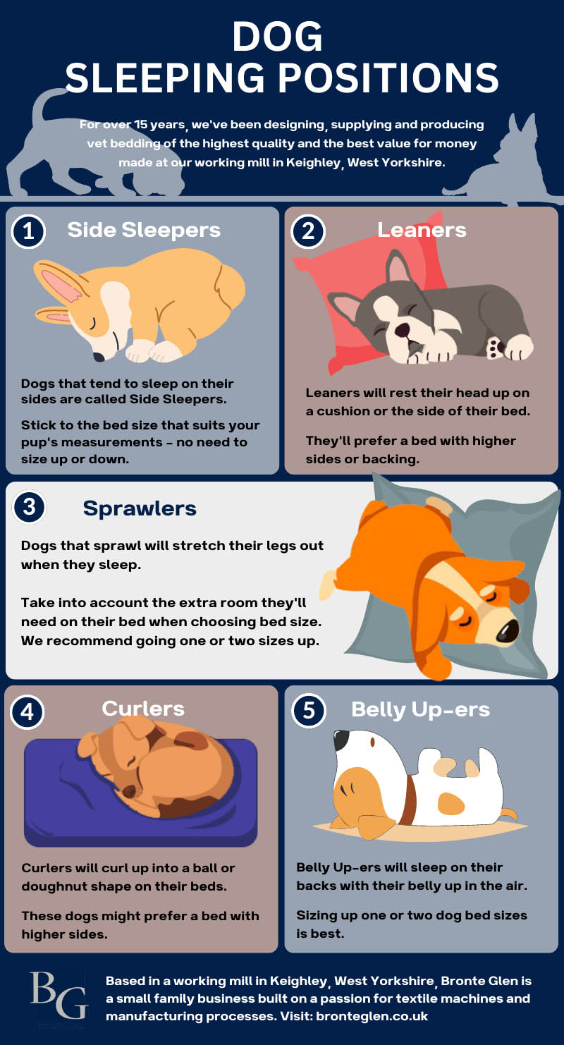 dog sleeping style schematic diagram
