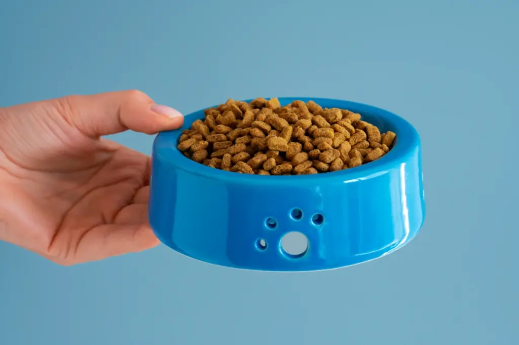 close up pet food bowls